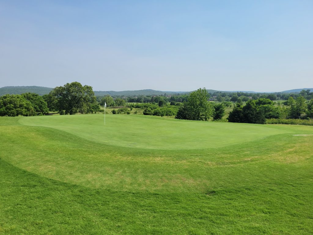Stonebridge Meadows golf number 4 green
