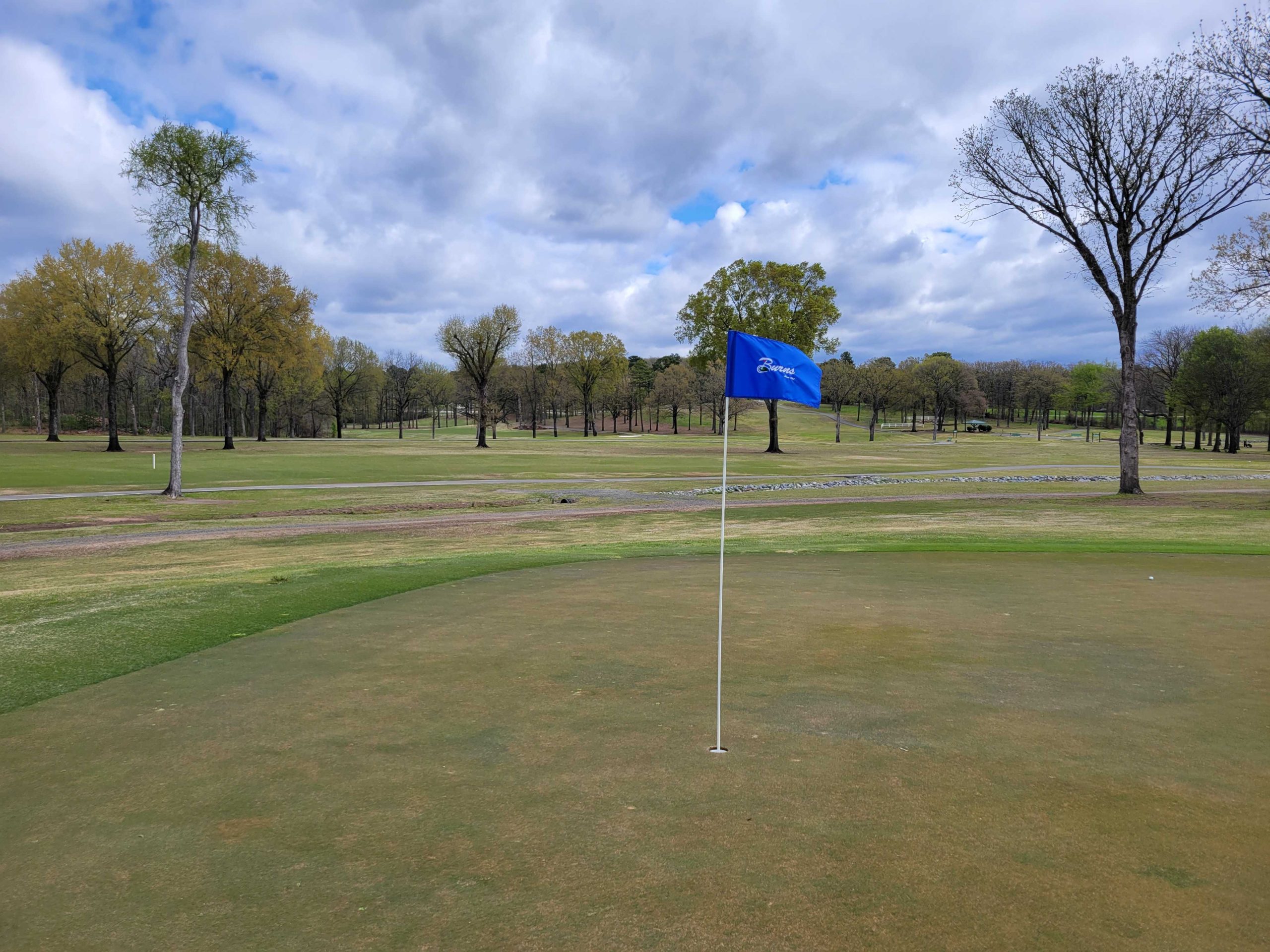 Burns Park Golf Course Review Natural State Golf