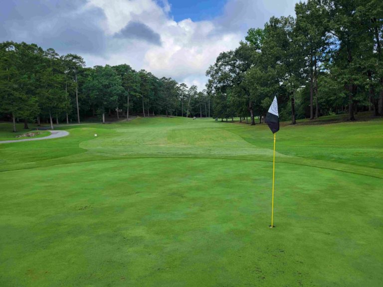 Ponce de Leon Golf Club Review - Natural State Golf